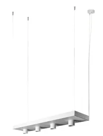 lampa-wiszaca-plant-9382-nowodvorski