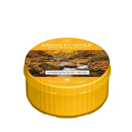 daylight-swieczka-amberwood-and-moss-kringle-candle