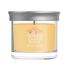 maly-tumbler-signature-slopeside-spritz-yankee-candle