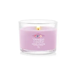 swieca-mini-summit-stargazing-yankee-candle