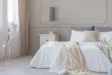velero