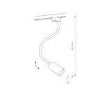 profile-eye-flex