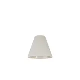 abazur-cameleon-cone-s-8416