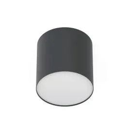 point-plexi-m