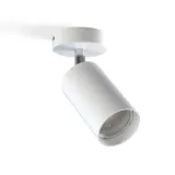 eye-spot