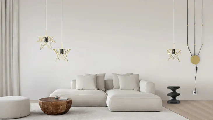 cameleon-mounting-c