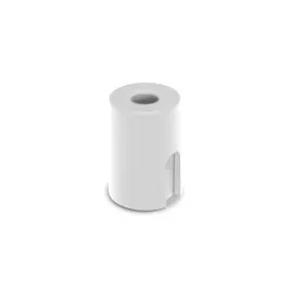 cameleon-mounting-a