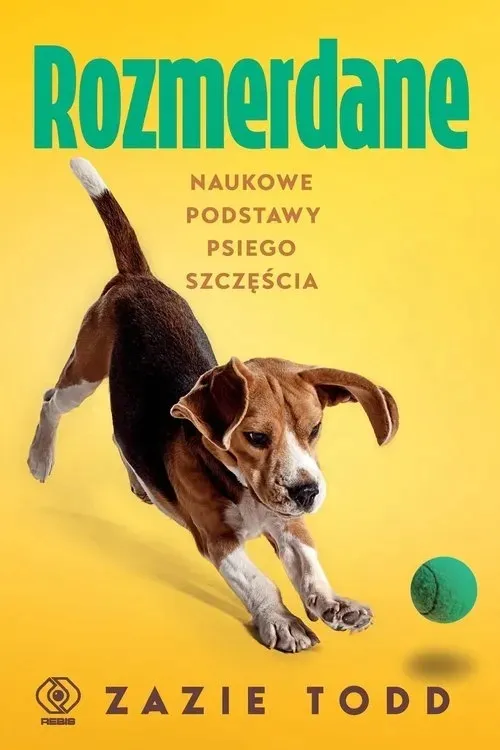 rozmerdane
