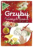 grzyby-naszych-lasow
