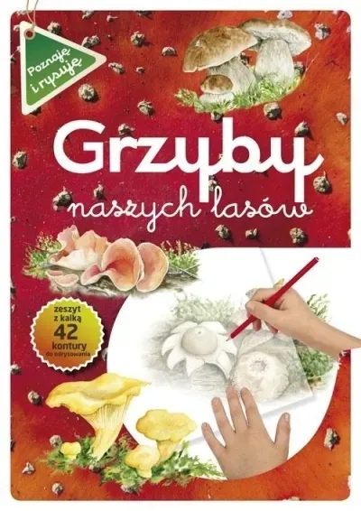 grzyby-naszych-lasow