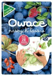 owoce-naszych-lasow