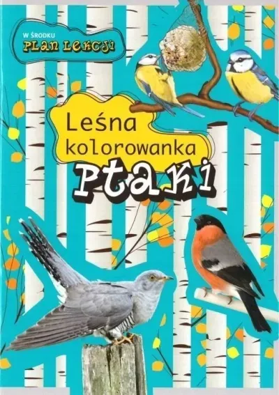 lesna-kolorowanka-ptaki