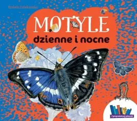 motyle-dzienne-i-nocne
