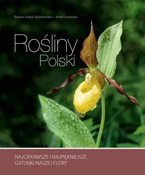 rosliny-polski
