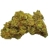 95-susz-cbd-lemon-haze-1g