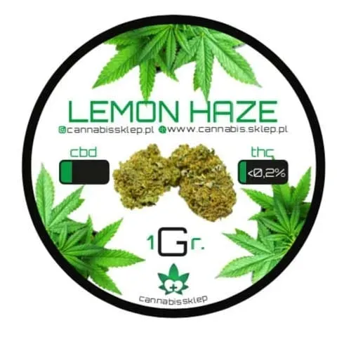 95-susz-cbd-lemon-haze-1g-rodzaj-susz-konopny