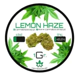 95-susz-cbd-lemon-haze-1g-rodzaj-susz-konopny