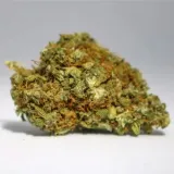 98-1-susz-cbd-orange-bud-2g-stan-nowy