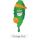 98-1-susz-cbd-orange-bud-2g-rodzaj-susz-konopny
