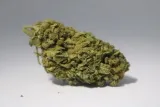 95-1-susz-cbd-lemon-haze-2g-stan-nowy