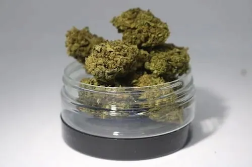 95-1-susz-cbd-lemon-haze-2g-rodzaj-susz-konopny
