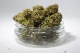 93-susz-cbd-strawberry-1g-stan-nowy