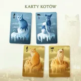 gra-koty-02129-stan-nowy