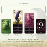 gra-koty-02129-stan-nowy