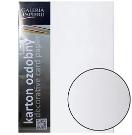 papier-wizytowkowy-gladki-bialy-20szt-250g-galeria