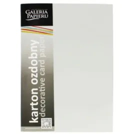 papier-wizytowkowy-granit-j-szary-20szt-210g-gale