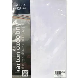 papier-wizytowkowy-borneo-bialy-20szt-220g-galeria