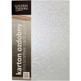 papier-wizytowkowy-olympia-biel-20szt-220g-galeria