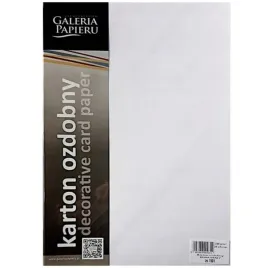 papier-wizytowkowy-kora-bialy-20szt-230g-galeria