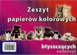 zeszyt-papierow-kolorowych-a5-blyszczacy-protos