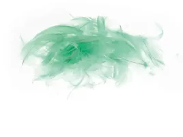 piorka-ozdobne-dekoracyjne-7-g-pistacjowe-brewis
