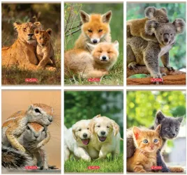 zeszyt-animals-a5-32k-linia-potrojna-mix-herlitz