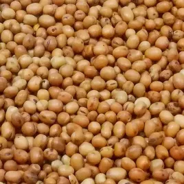 45kg-bobik-slodki-ziarno-zaneta-przyneta-wedkarska-karp-karas