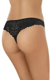 gabidar-stringi-wz-045