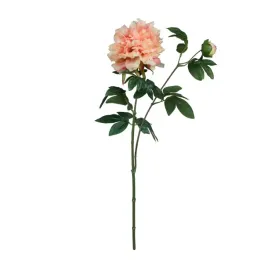 peonia-brzoskwiniowa-galazka-65cm
