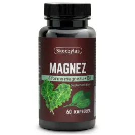 skoczylas-magnez-4-formy-magnezu-b6-szpinak-jarmuz-60caps