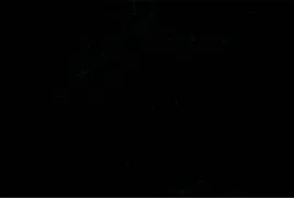 hak-haki-do-wedzenia-wedlin-o3-s145-10szt-zut-togo