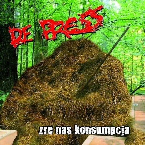 zre-nas-konsumpcja-cd-de-press