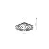 cameleon-pico-c