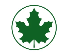 naklejka-zielony-listek-mlody-kierowca