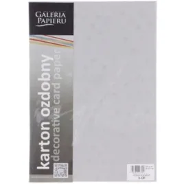 papier-wizytowkowy-stars-srebrny-20szt-220g-galeri