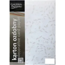 papier-wizytowkowy-liana-bialy-50szt-100g-galeria