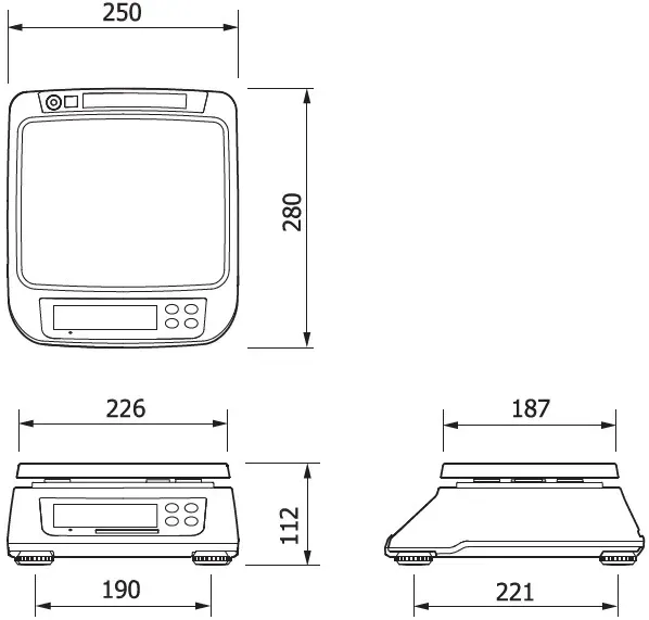 wagi-proste-cas-sw-ii-rodzaj-wagi-sklepowa