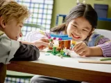 lego-minecraft-piekarnia-21184-stan-nowy-wiek-dziecka-brak-informacji