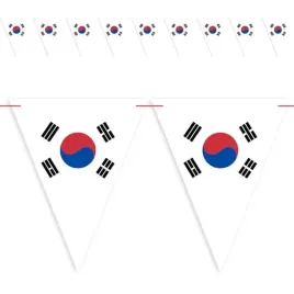 baner-flagi-panstwa-swiata-korea-poludniowa-diy-36-m