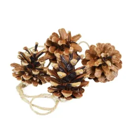 szyszki-naturalne-4szt